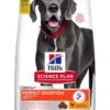 HILL'S Science Plan Canine Adult Large Perfect Digestion Chicken and Brown Rice 14kg alimento per una digestione sana per cani di taglia grande