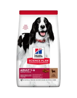 HILL'S Science Plan Canine Adult Medium Lamb & Rice con riso e agnello 36 kg (2x18 kg)