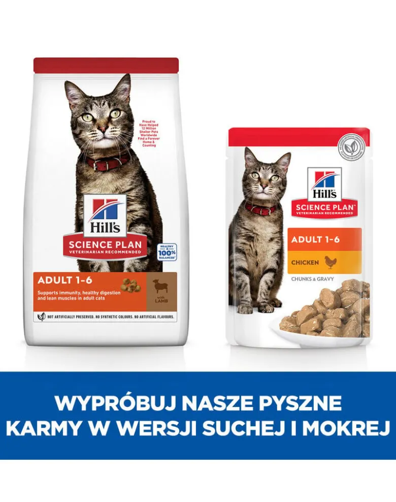 HILL'S Science Plan Feline Adult with Lamb 10kg