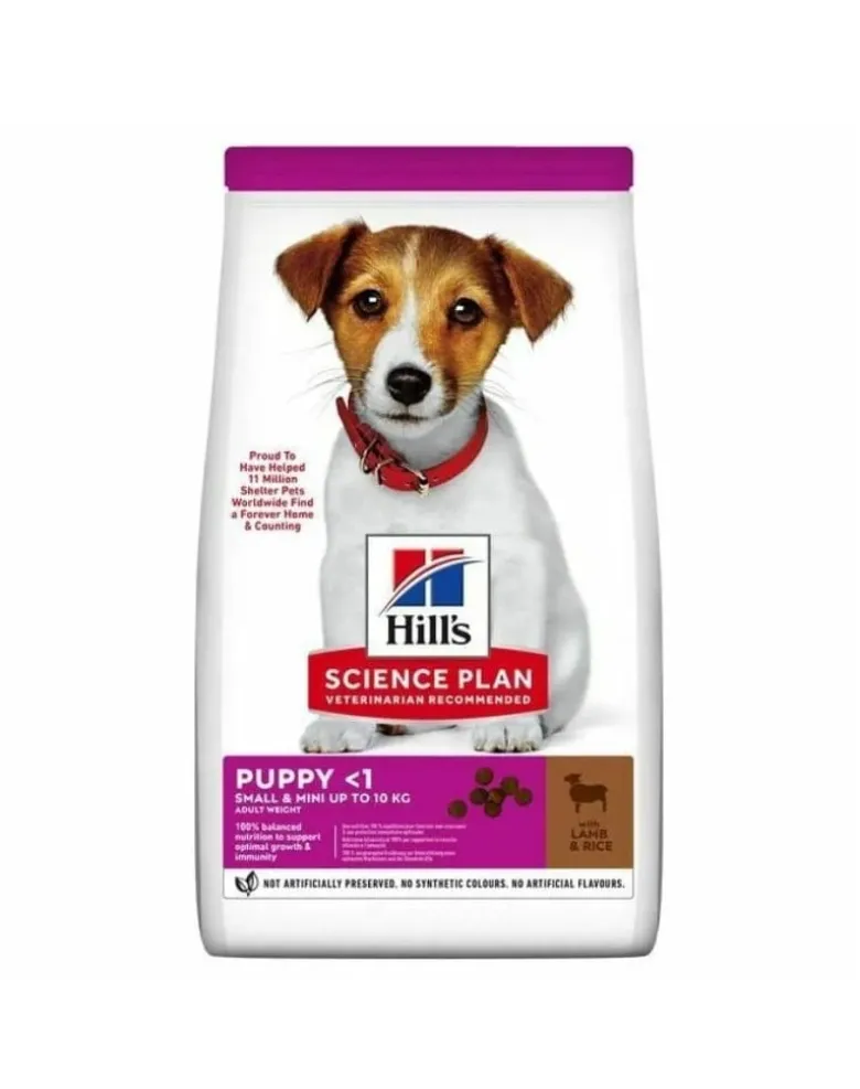 HILL'S Science Plan Puppy Small Mini Lamb and Rice 6 kg con agnello e riso, cibo secco per cuccioli di piccole razze