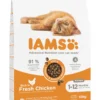 IAMS Cat Kitten & Junior All Breeds Chicken 10 kg