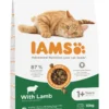 IAMS ProActive Health Adult with Lamb & Chicken 10kg