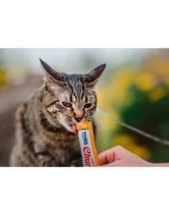 INABA Churu Cat bocconcino cremoso al pollo e formaggio per gatti 56 g