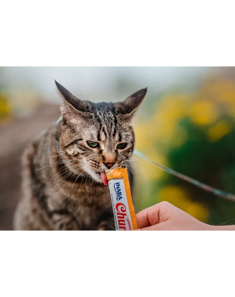 INABA Churu Cat bocconcino cremoso al pollo e formaggio per gatti 56 g