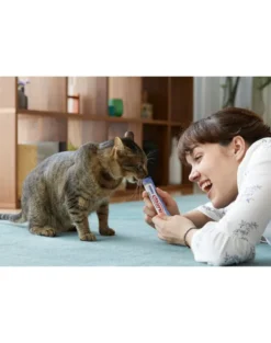 INABA Churu Cat bocconcino cremoso per gatti a base di pollo e gamberetti 56 g