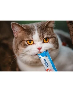 INABA Churu Cat bocconcino cremoso per gatti al pollo e granchio 56 g