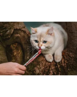 INABA Churu Cat croccantini cremosi al tonno e salmone 56 g