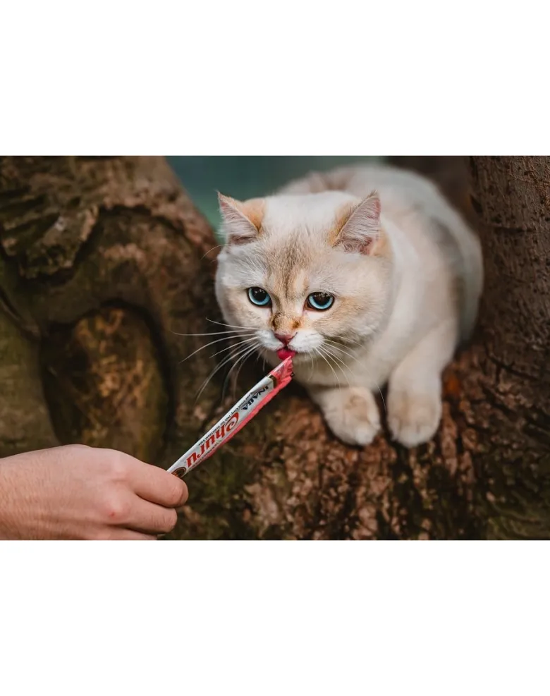 INABA Churu Cat croccantini cremosi al tonno e salmone 56 g