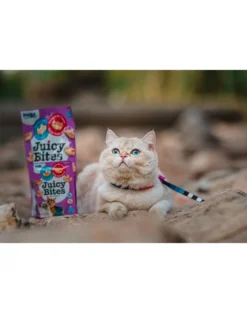 INABA Juicy Bites crocchette umide di capesante e granchio per gatti 33,9 g (3x11,3 g)
