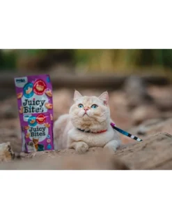 INABA Juicy Bites crocchette umidificate con brodo e calamari per gatti 33,9 g (3x11,3 g)