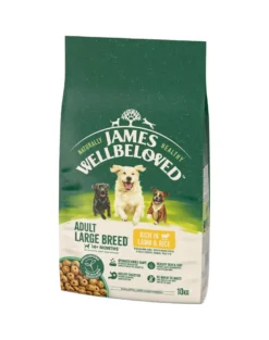 JAMES WELLBELOVED Adult 10 kg alimento secco completo per cani adulti di taglia grande >14 mesi - 10 anni ricco di agnello e riso