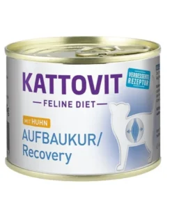 KATTOVIT Feline Diet Recovery Pollo 185g