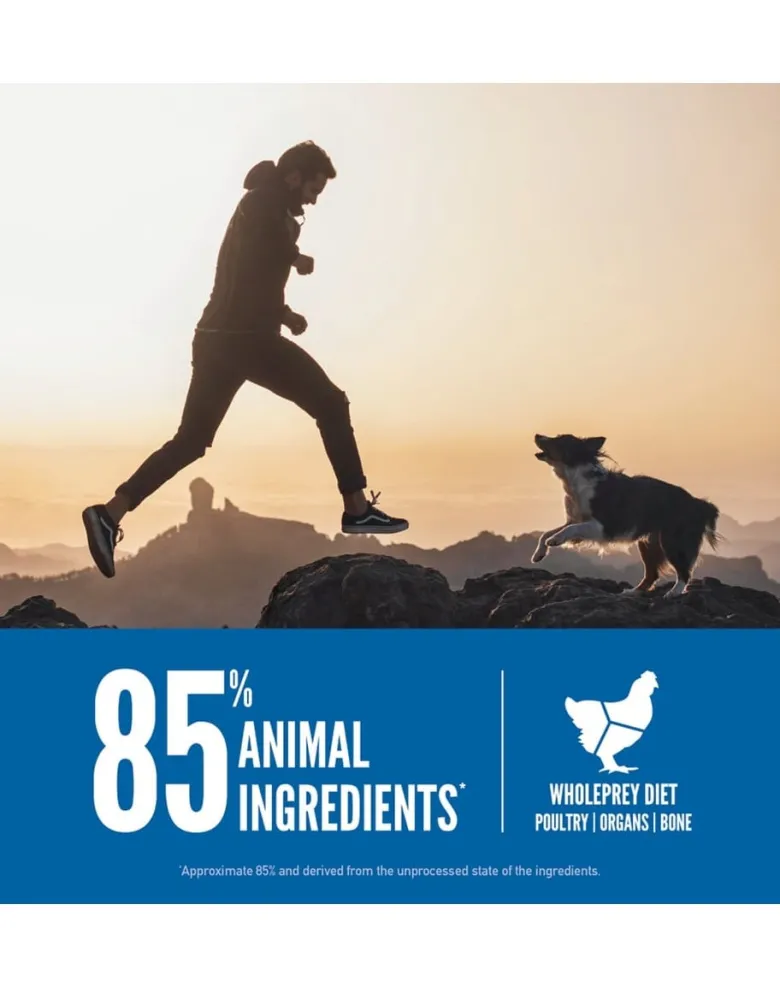 ORIJEN Original Dog 340g