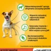 PEDIGREE Adult Selezione di sapori 52x100g cibo umido per cani adulti pezzi in gelatina ricchi di manzo e fegato e pezzi ricchi di pollame