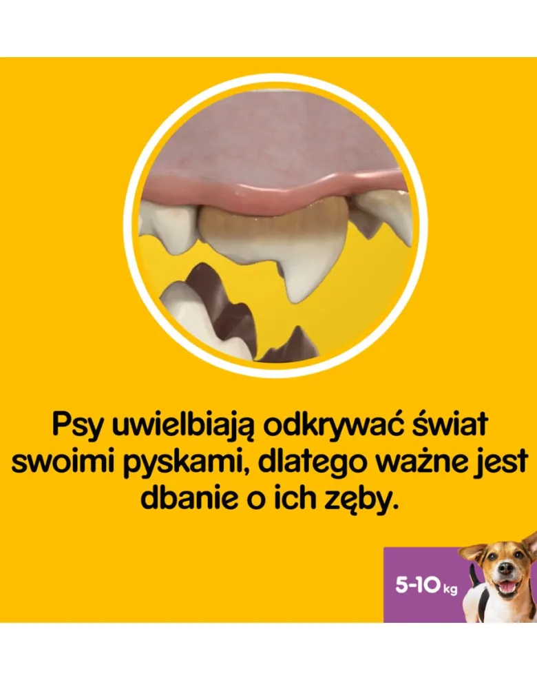 PEDIGREE DentaStix (razze piccole) Snack per cani 112 pz. - 16x110g