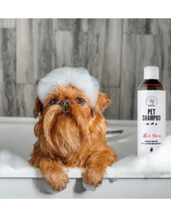 PETS Shampoo Aloe Vera shampoo antiforfora 250 ml