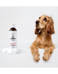 PETS Shampoo Camomile shampoo per pelli sensibili 250 ml