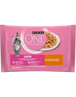 PURINA ONE Junior Pollo 4x85g