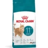 ROYAL CANIN Ageing 11+ 2 kg per gatti maturi oltre 11 anni