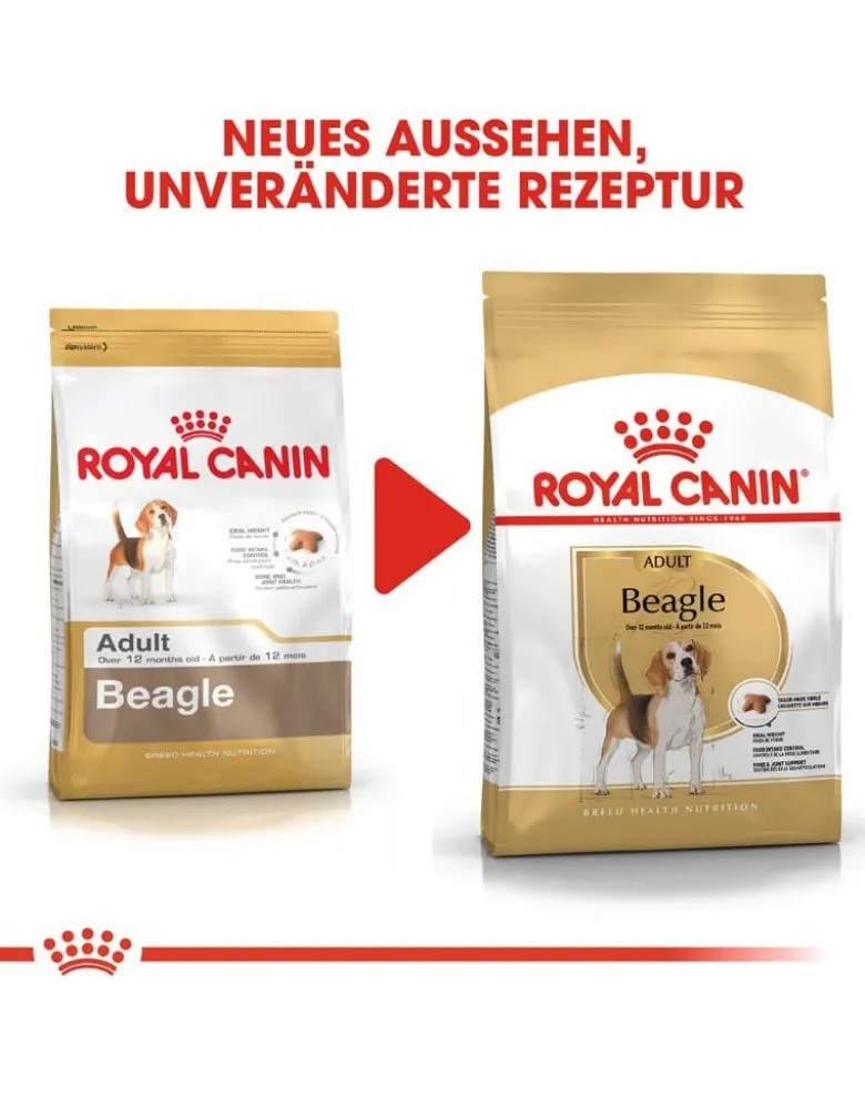 ROYAL CANIN Beagle adult 12 kg