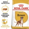 ROYAL CANIN Boxer Adult alimento secco per cani boxer adulti 12 kg