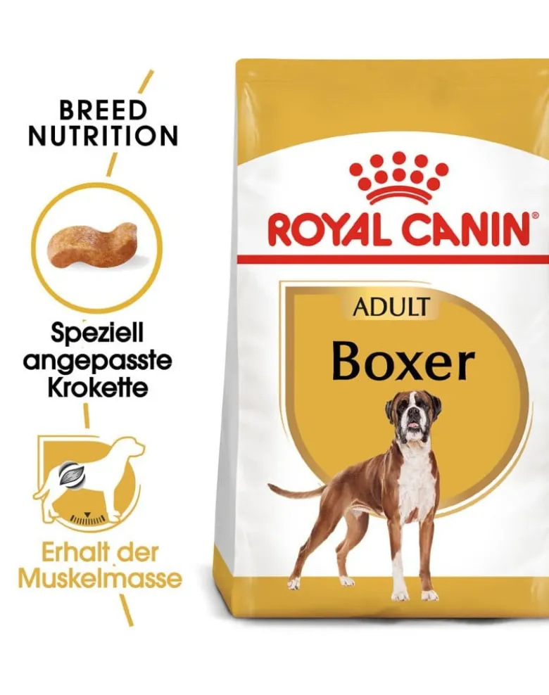 ROYAL CANIN Boxer Adult alimento secco per cani boxer adulti 12 kg