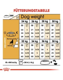ROYAL CANIN Boxer Adult alimento secco per cani boxer adulti 12 kg