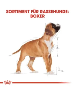 ROYAL CANIN Boxer Puppy Junior 24kg (2x12kg)