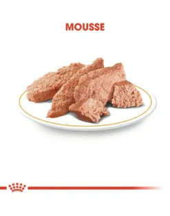 ROYAL CANIN Breed Mini Yorkshire 48 x 85 g