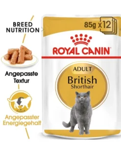 ROYAL CANIN British Shorthair 85 g bustina 12 x 85 g