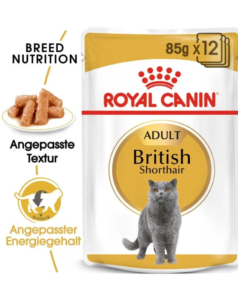 ROYAL CANIN British Shorthair 85 g bustina 12 x 85 g