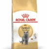 ROYAL CANIN British Shorthair 0.4 kg