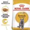 ROYAL CANIN British Shorthair 20kg (2x10kg)