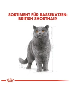 ROYAL CANIN British Shorthair 20kg (2x10kg)