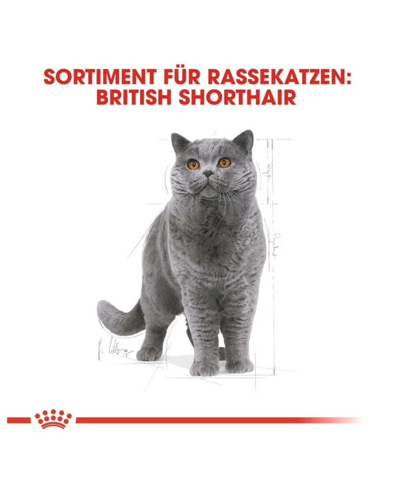 ROYAL CANIN British Shorthair 20kg (2x10kg)