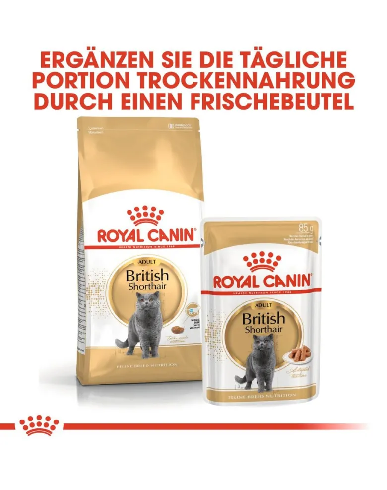 ROYAL CANIN British Shorthair 20kg (2x10kg)