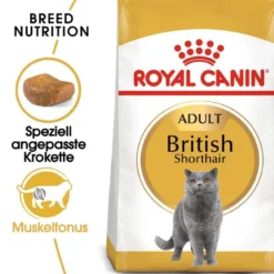 ROYAL CANIN British Shorthair 20kg (2x10kg)
