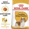 ROYAL CANIN Cavalier King Charles adult 1.5 kg