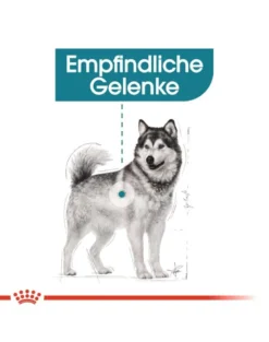 ROYAL CANIN CCN Maxi Joint Care 20 kg (2 x 10 kg)