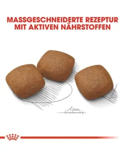 ROYAL CANIN CCN Maxi Joint Care 20 kg (2 x 10 kg)