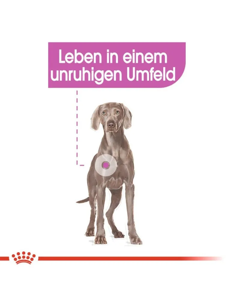 ROYAL CANIN CCN Maxi Relax Care crocchette secche per cani adulti di taglia grande, esposti a stress 9 kg