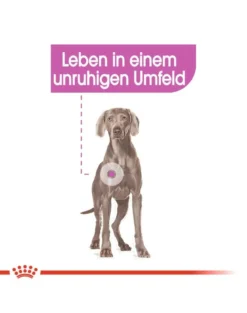 ROYAL CANIN CCN Maxi Relax 18 kg (2 x 9 kg)