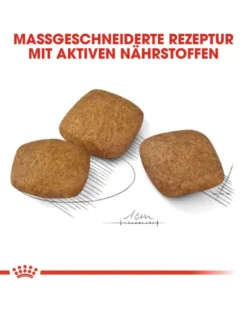 ROYAL CANIN CCN Maxi Relax 18 kg (2 x 9 kg)