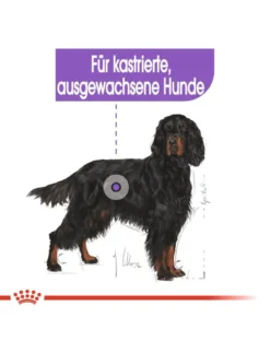ROYAL CANIN CCN Maxi Sterilised crocchette secche per cani adulti di taglia grande, sterilizzati 3 kg