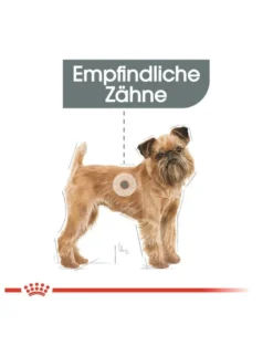 ROYAL CANIN CCN Mini Dental Care crocchette secche per cani adulti di piccole razze, riduce la formazione di tartaro 8 kg