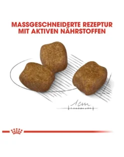 ROYAL CANIN CCN Mini Dental Care16 kg (2x8kg)