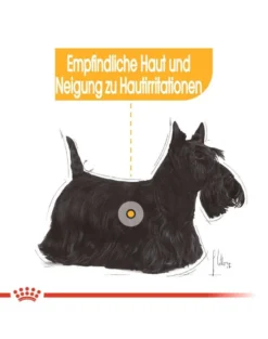 ROYAL CANIN CCN Mini Dermacomfort crocchette secche per cani adulti di piccola taglia con pelle sensibile e soggetta a irritazioni 8 kg