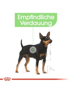 ROYAL CANIN CCN Mini Digestive Care crocchette secche per cani adulti di piccole razze con un sistema digestivo sensibile 8 kg
