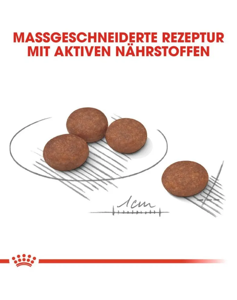 ROYAL CANIN CCN Mini Digestive Care 16kg (2x8kg)