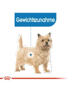ROYAL CANIN CCN Mini Light Weight Care alimento secco per cani adulti di taglia piccola con tendenza al sovrappeso 8 kg
